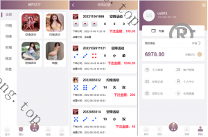 爆款产品联系站长演示VUE源代码 视频同城 空降任务 系统源码 视频 投注任务 平台运营版