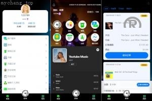 独家特别推荐_全新多語開源 音乐抢单系统 派单连单卡单 实名认证 刷单系统 打针_商业精品